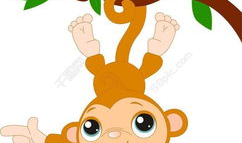 小猴子视频,欢乐时光，趣味无限